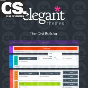 Divi Builder WordPress Plugin