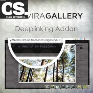 Envira Gallery | Deeplinking Addon