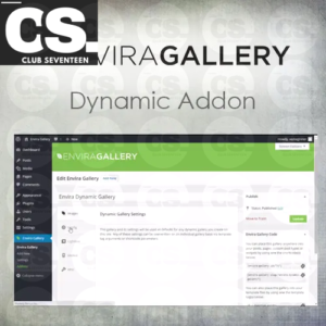 Envira Gallery | Dynamic Addon