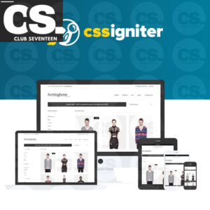 CSS Igniter Herringbone Woocommerce Theme