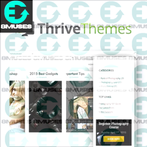 Thrive Clever Widgets